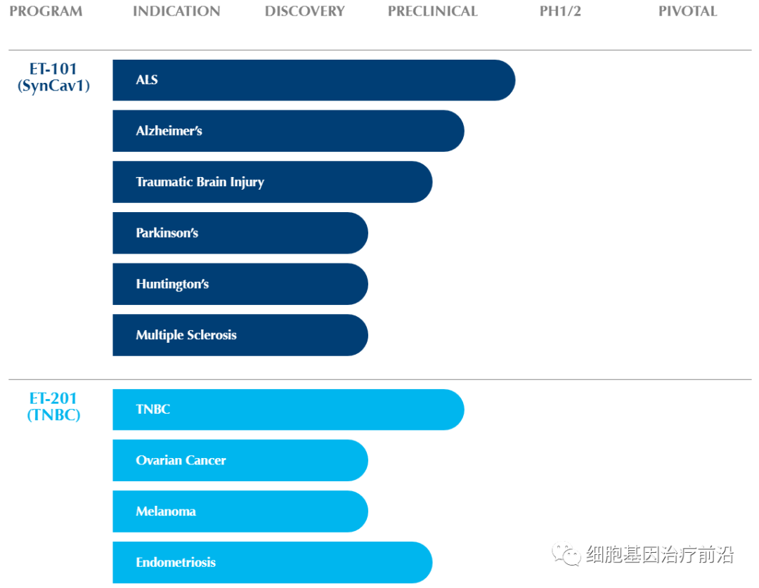 Eikonoklastes基因疗法获得孤儿药认定，有望治疗渐冻症
