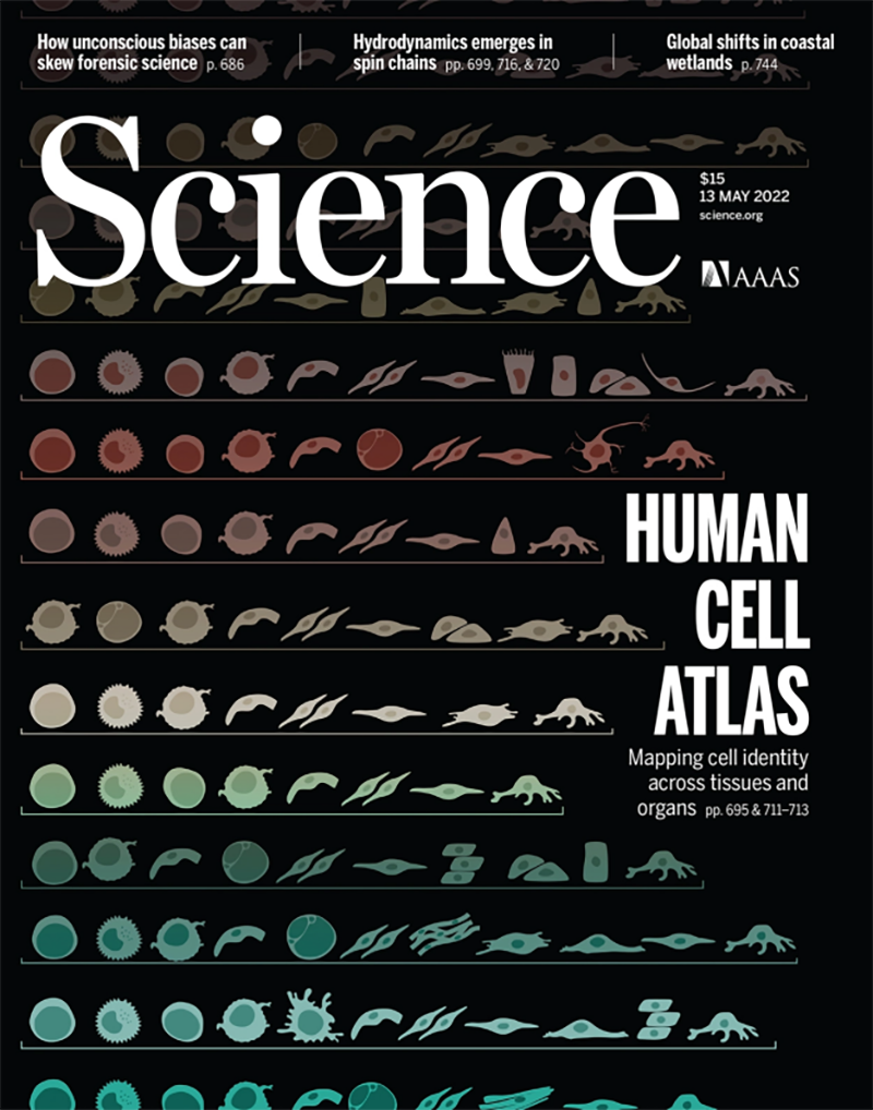 【Science重磅宣布】迄今为止，最周全的跨组织细胞图谱绘成